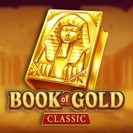 Try Book of Gold Classic slot by Playson on privecasinoo.com – logo image