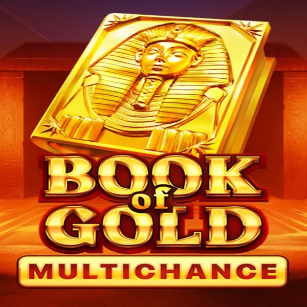 Book of Gold Multichance logo by Playson at Prive Casino