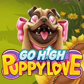 Go High Puppy Love – slot by RubyPlay, featured at privecasinoo.com